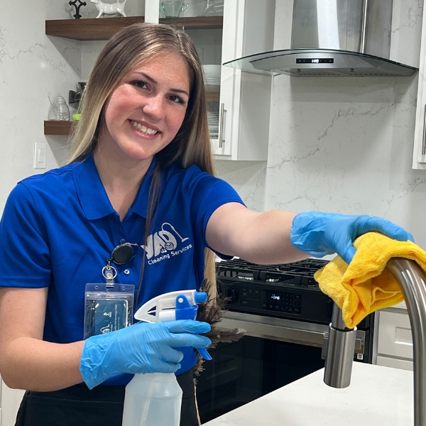 professional maid services cleaning fixtures