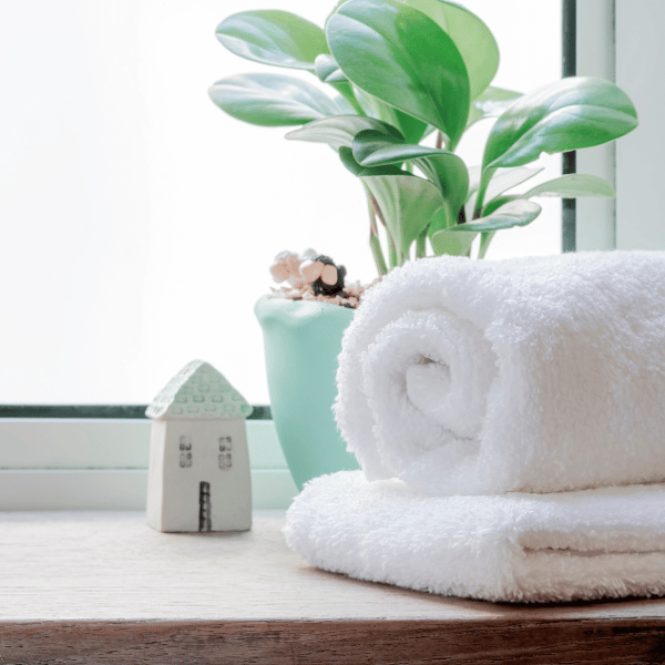 Clean white bath towels and a green potted plant on a sunny windowsill.